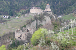 Foto Dorf Tirol mit Schloss Tirol und Brunnenburg
